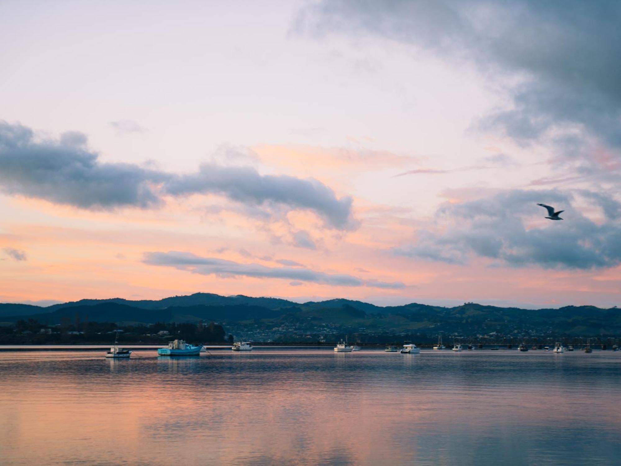 Hotel Trinity Wharf Tauranga Exterior foto